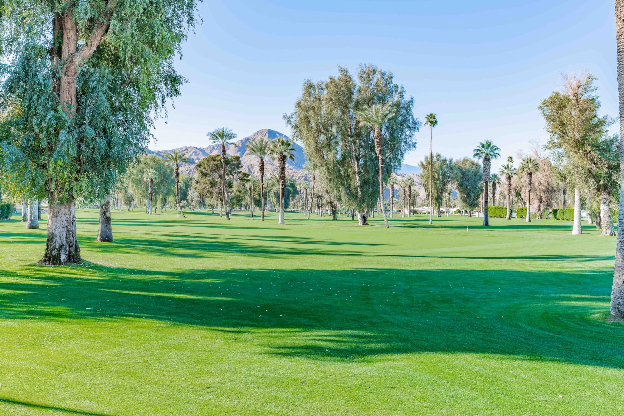 A sunny park with neatly mroomed green grass, scattered trees, and distant mountains under a clear blue sky.