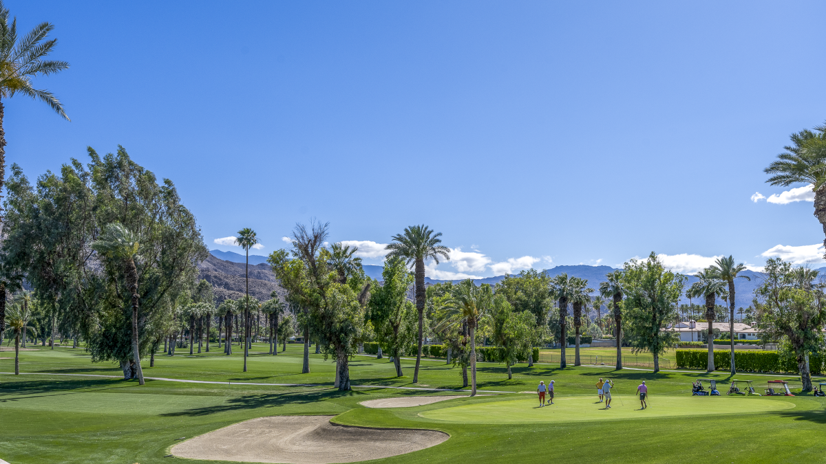 A sunny golf course scene with green fairways, scattered palm trees, a sand bunker, and a few players in the distance under a bright blue sky.