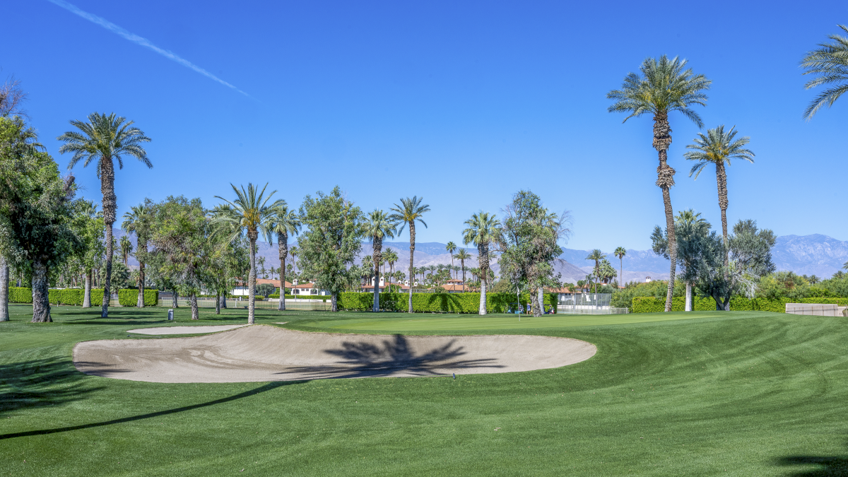A manicured golf course with a sandy bunker, lush green fairways, and tall palm trees under a clear blue sky in a sunny setting. Top it at 140 characters, always ending the sentence.