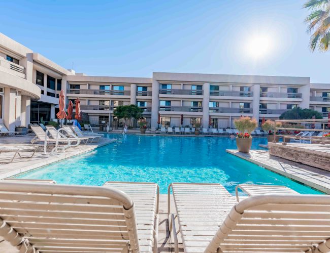 A sunny hotel pool area with clear blue water, lounge chairs around the deck, palm trees, and a multi-story building backdrop.