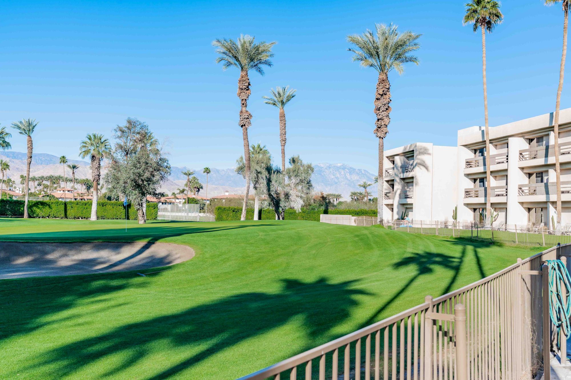 A sunny resort-style lawn with palm trees, a pool edge, surrounding apartment buildings, and clear blue sky, casting long shadows.