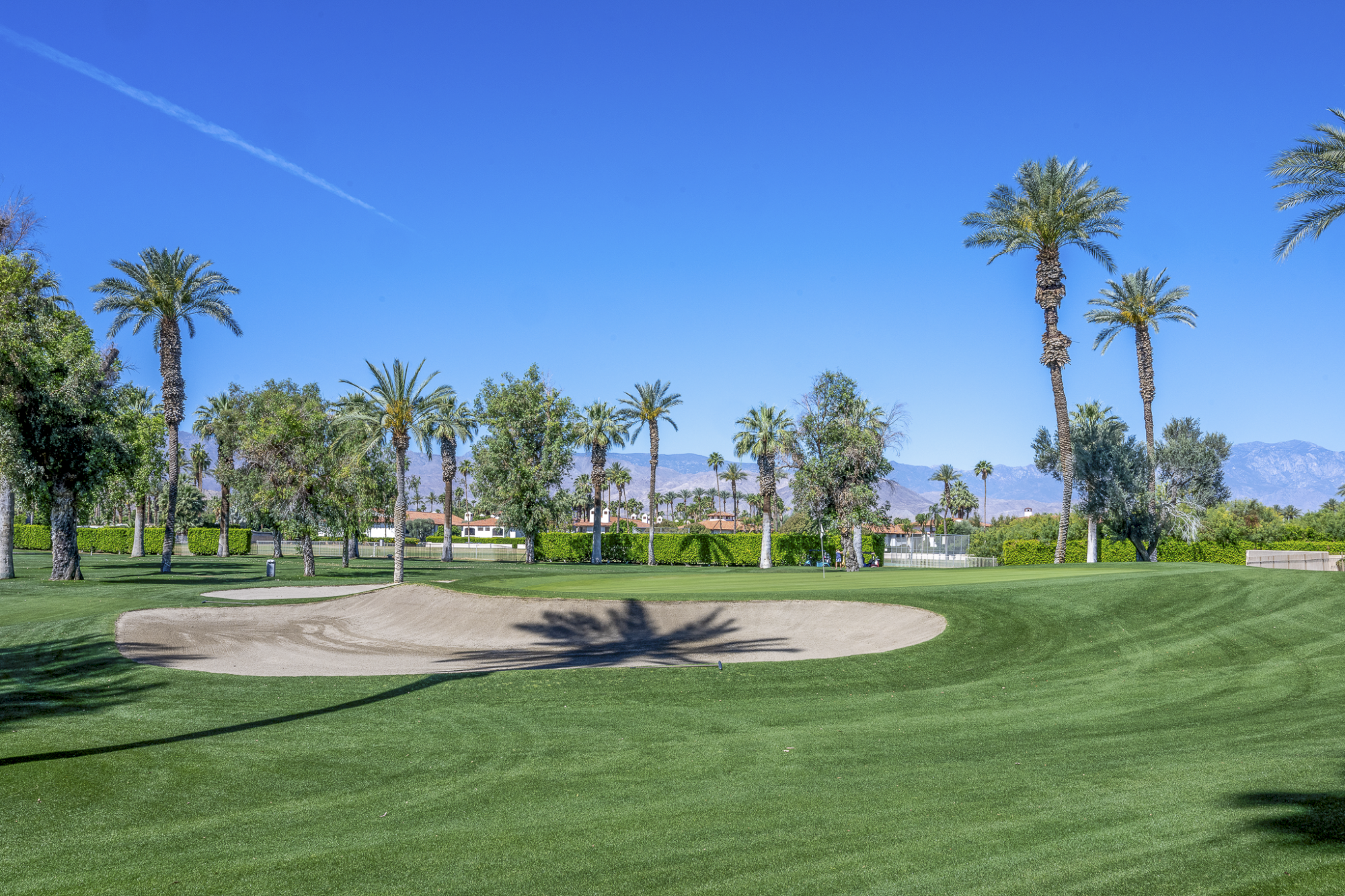 A bright golf course with green fairways, a sand bunker, palm trees, and a clear blue sky&mdash;perfect day for golfing.
