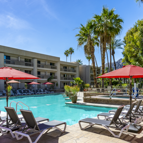 A sunny resort pool scene with lounge chairs, umbrellas, palm trees, and a clear blue sky.
