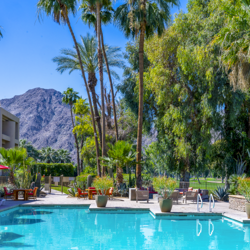 A sunny resort pool with blue water, lounge chairs, palm trees, and a few umbrellas, surrounded by buildings and a clear sky.
