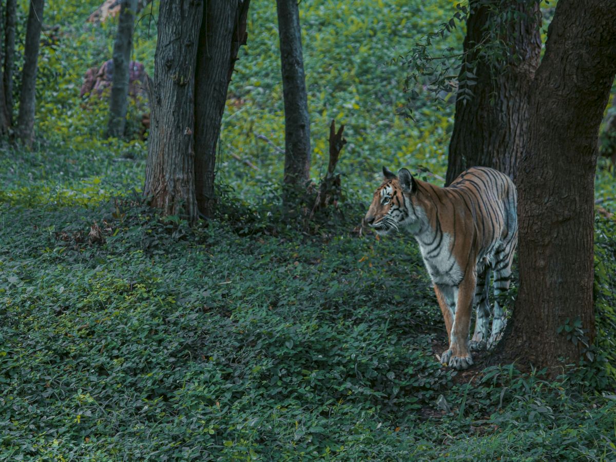 Indian Wells Resort Hotel