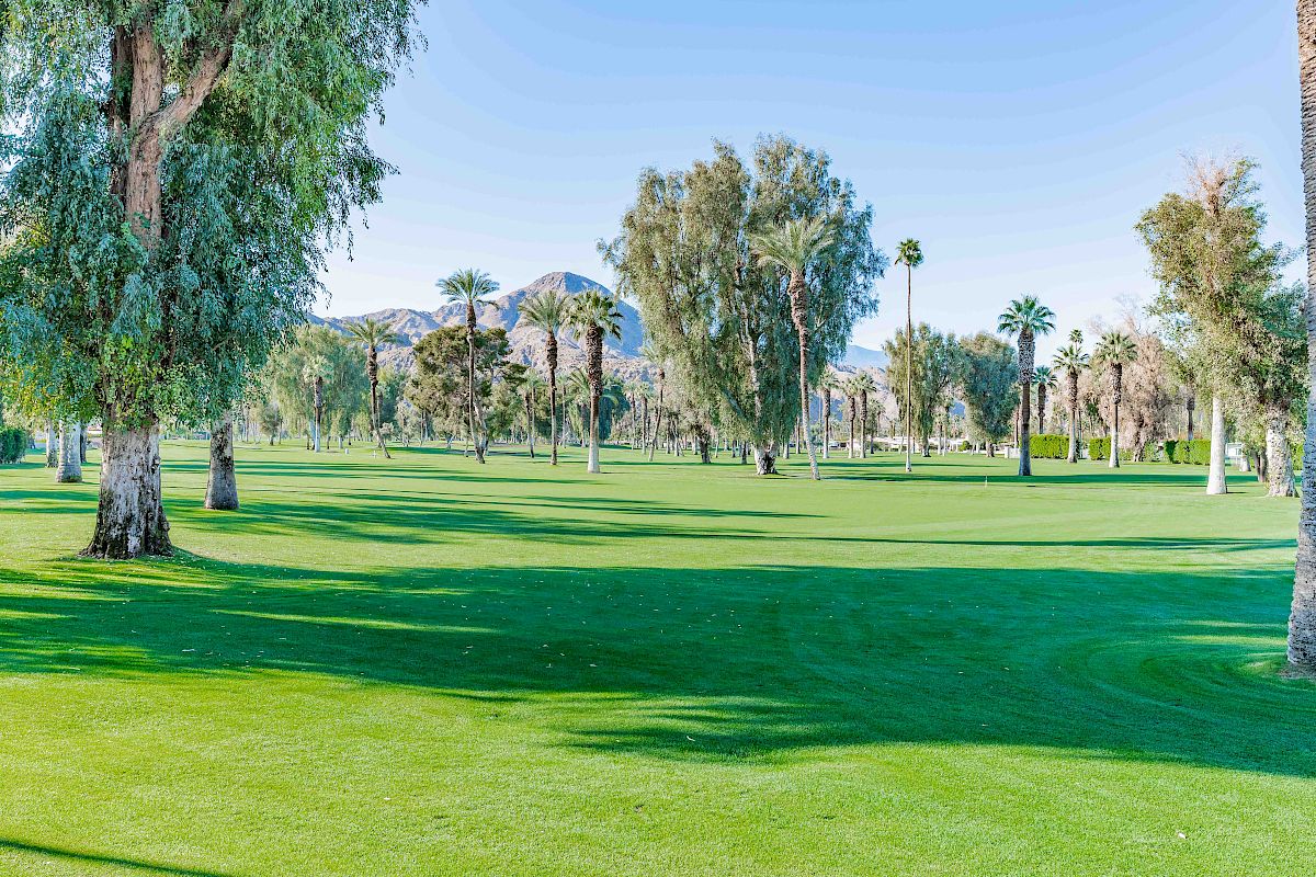 A sunny park with lush green grass, scattered trees, and clear blue skies; palm trees in the distance, creating a peaceful outdoor scene.
