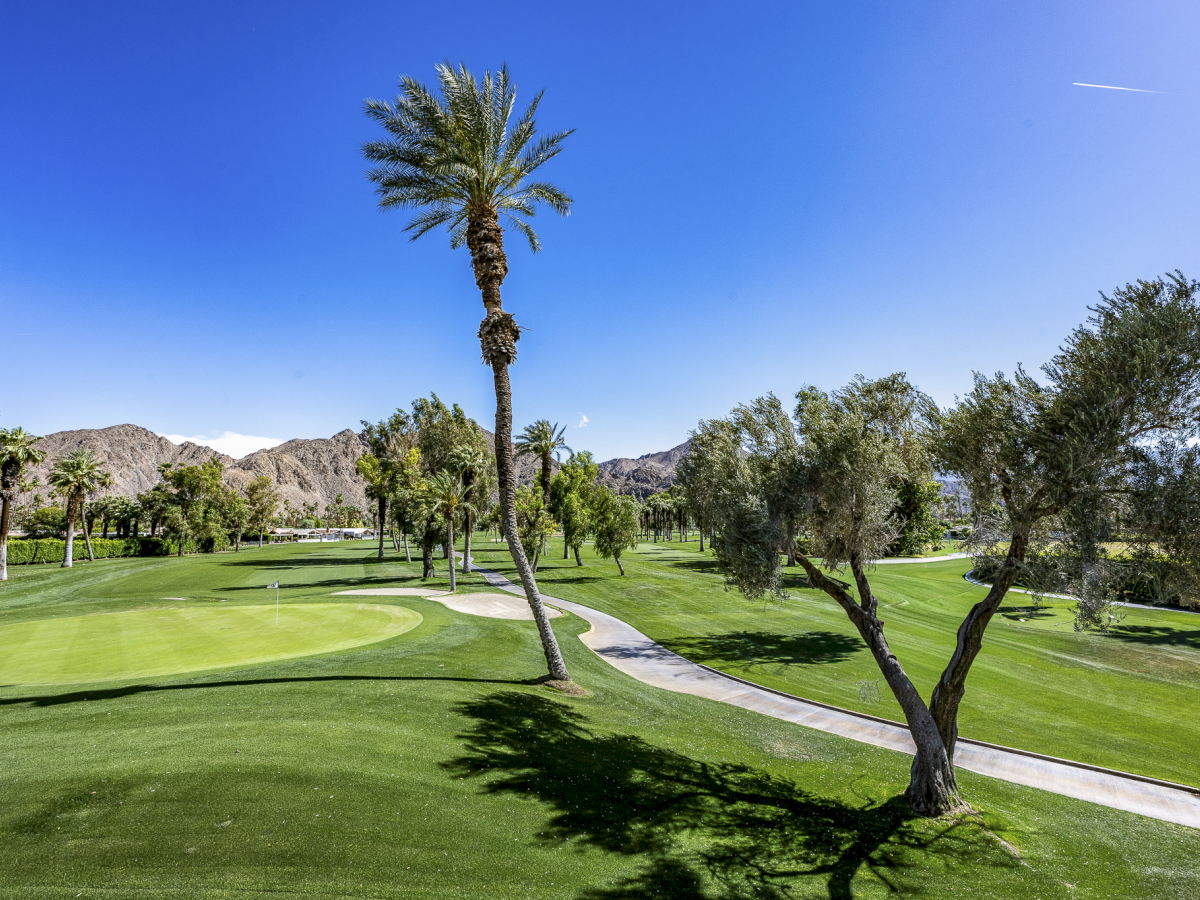 A sunny golf course with green fairways, palm trees, and a paved cart path winding through the landscape, mountains in the background.