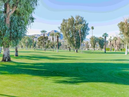 A sunny park scene with green grass, tall trees, and palm trees in the background, under a clear blue sky.