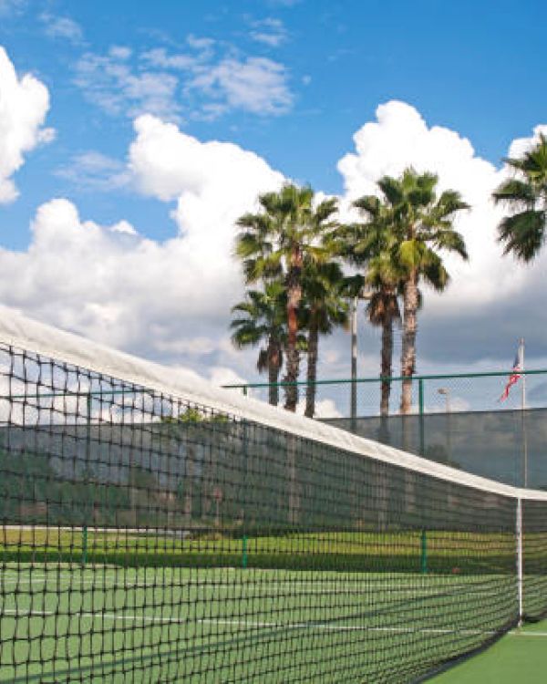 A sunny outdoor tennis court with a net, green fencing, and tall palm trees in the background under a partly cloudy blue sky.