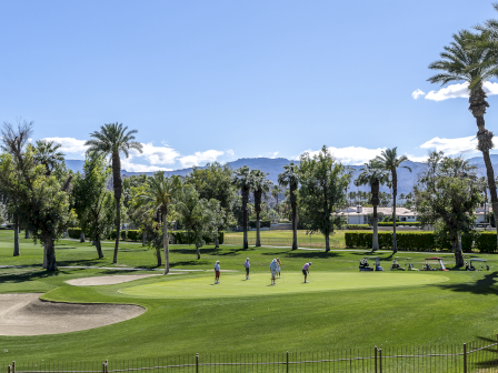 A sunny golf course with well-kept greens, palm trees, sand traps, and a few players walking along the fairway under a clear blue sky.