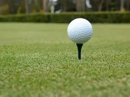 A golf ball sits on a tee, ready for a drive, on a well-kept green.