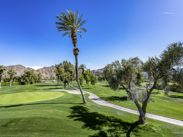 A sunny golf course with green fairways, palm trees, and a paved cart path winding through the landscape, under a clear blue sky.