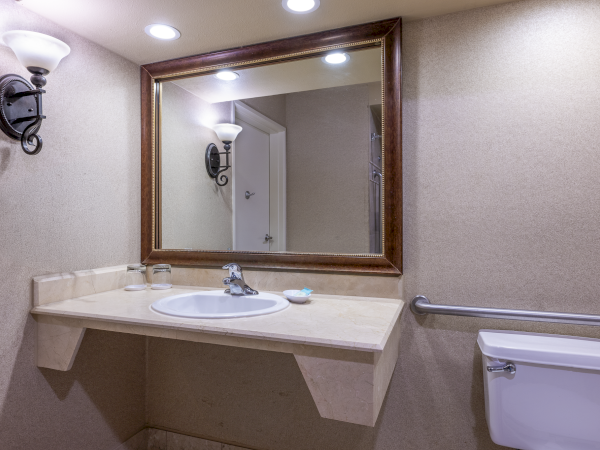 A bathroom vanity with a beige countertop, sink, large framed mirror, wall sconces, a towel bar, and a white toilet, all in a neutral-toned room.