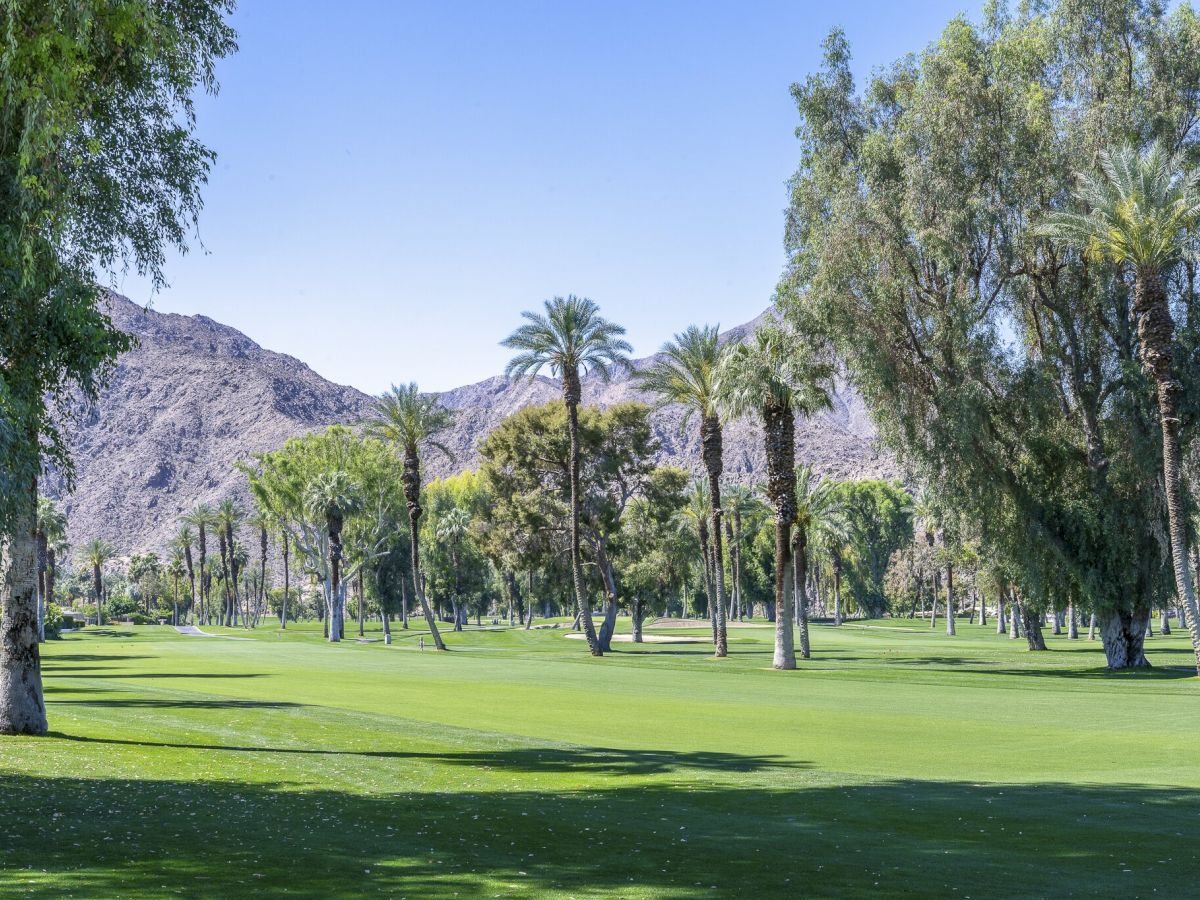 A sunny golf course lined with tall palm trees, green fairways, and rugged mountains in the background.